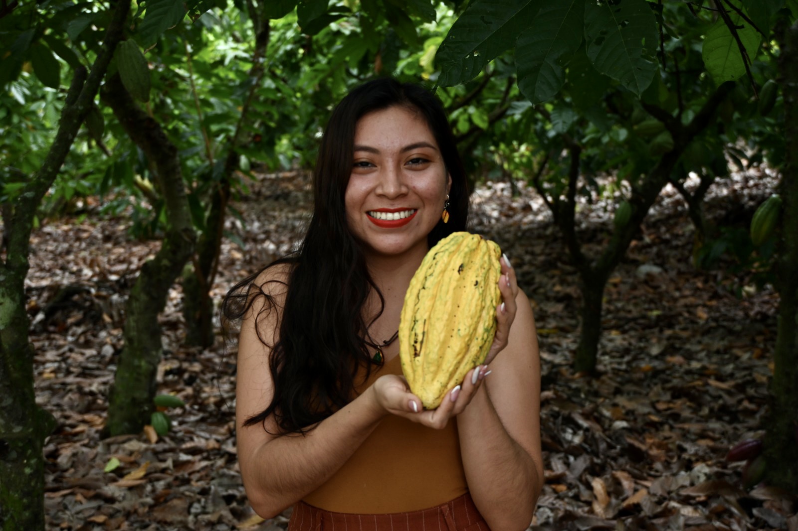 Fluir Cacao: Chachapoyas y Jaen