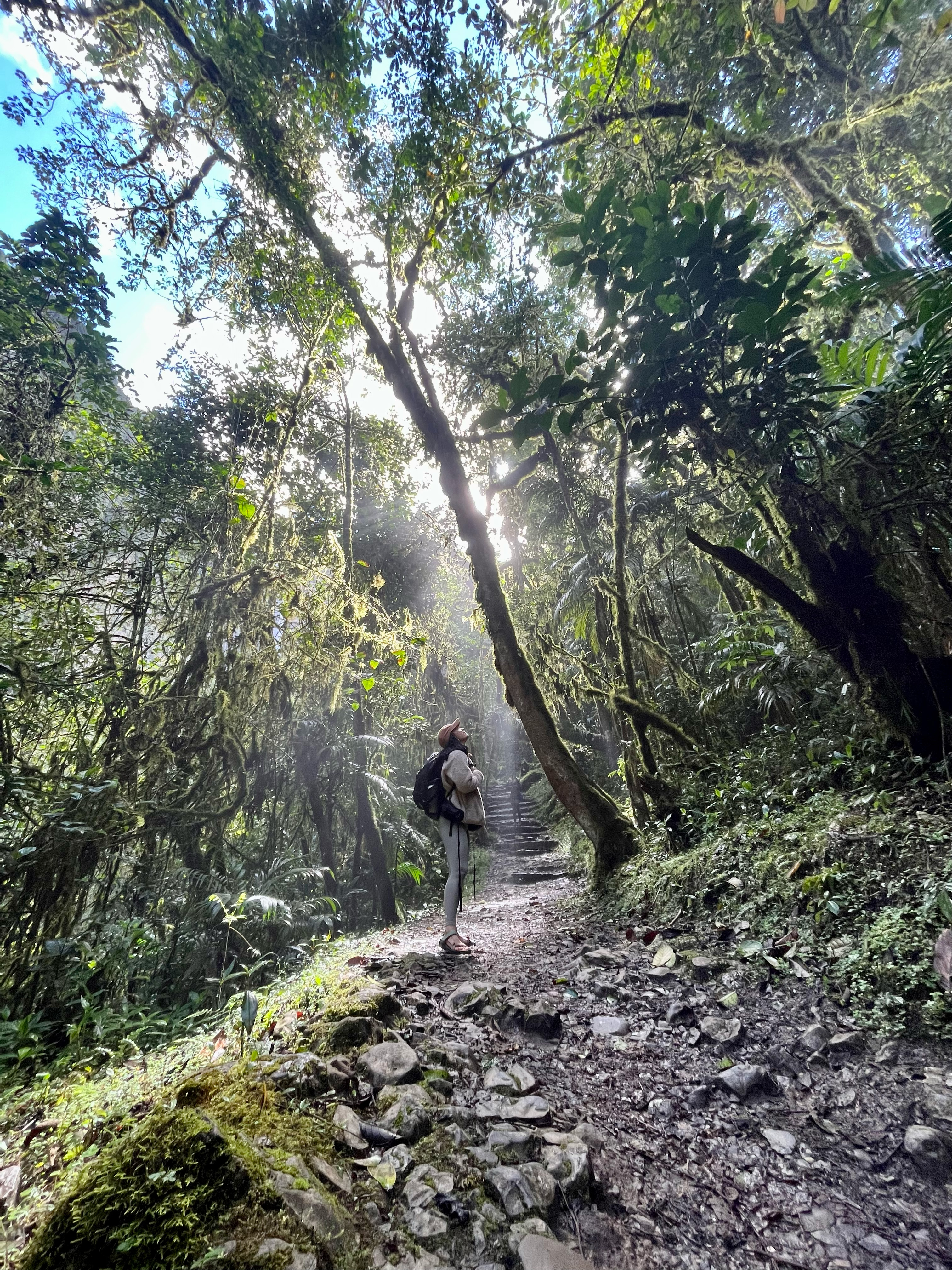 Fluir Cacao: Chachapoyas y Jaen