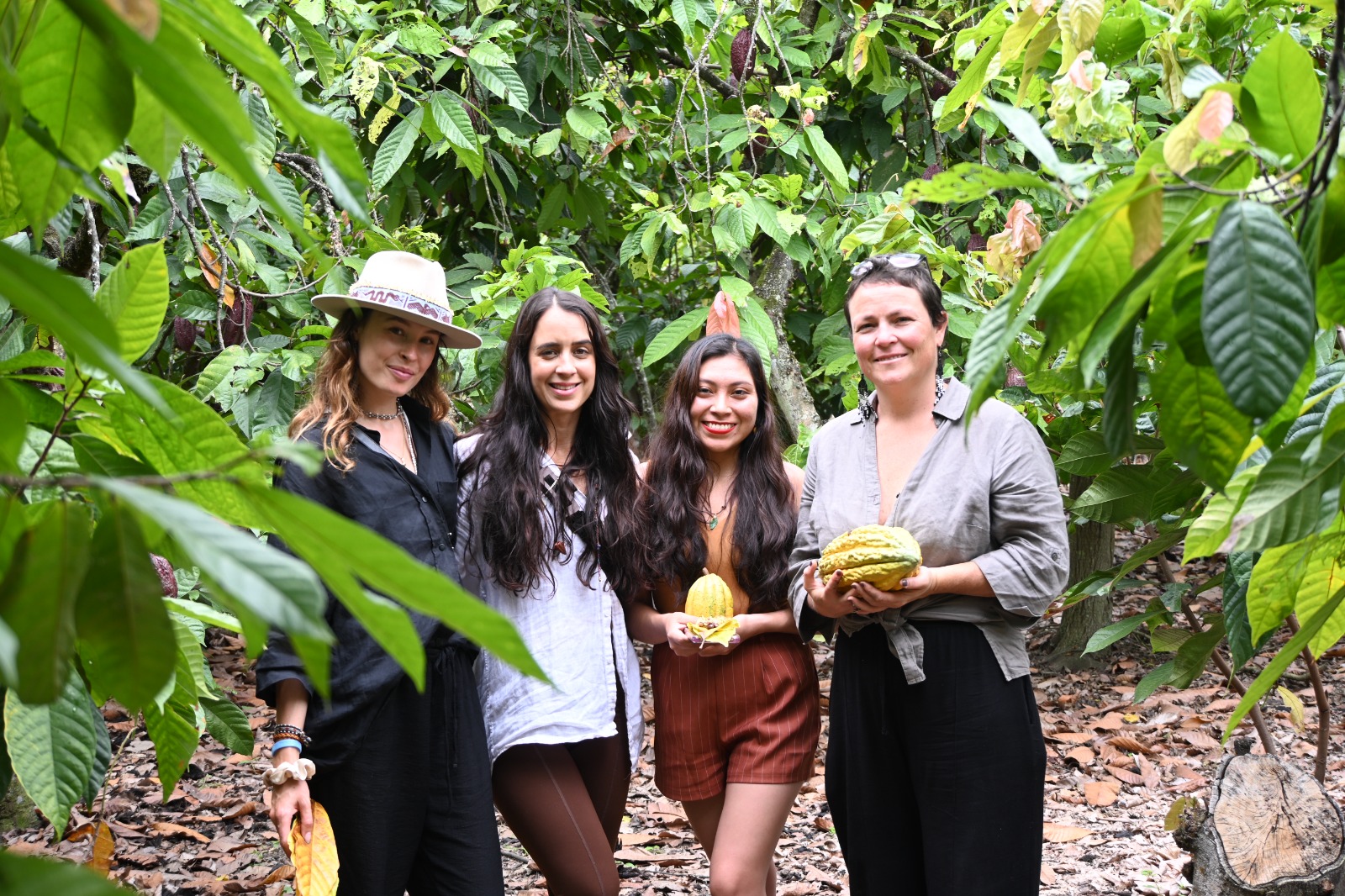 Fluir Cacao: Chachapoyas y Jaen