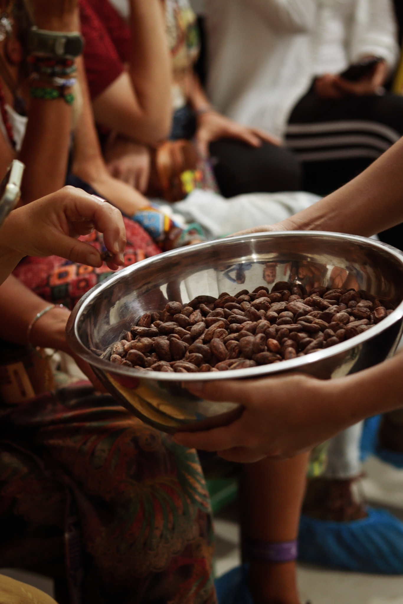 Semilla Espiral: peregrinaje por la ruta antigua del cacao